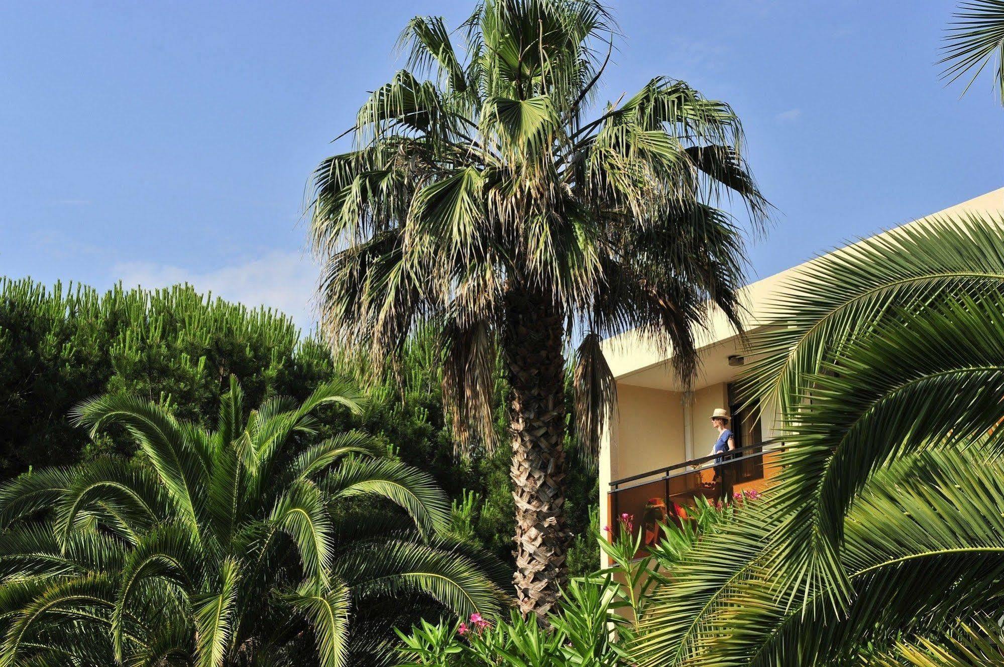 Résidence Pierre&Vacances Les Jardins Ombragés Mandelieu Esterno foto